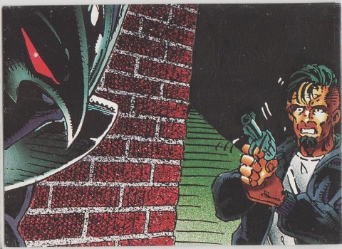 ShadowHawk Collector Card #30